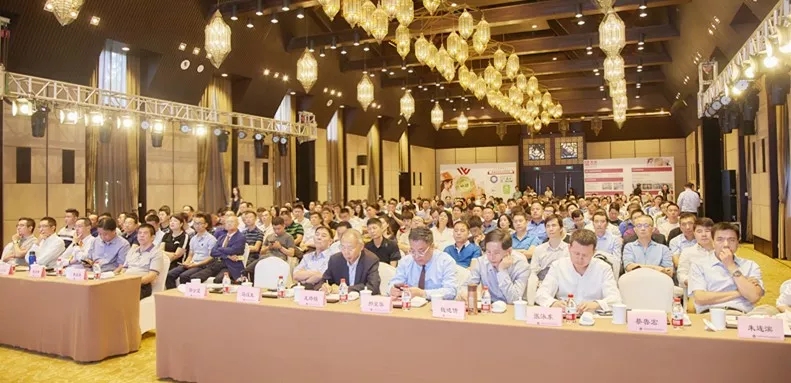 6405.webp.jpg 6405.webp.jpg